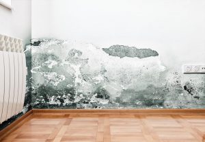 Wall mold
